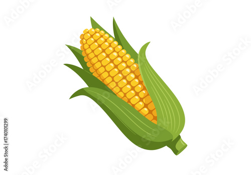 A fresh ear of corn with yellow kernels and green husks.