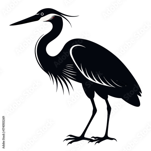 Illustration of a black heron standing with a long beak and thin legs on a white background design vector
