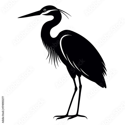 Silhouette of a great blue heron standing tall with its long neck and beak in a side profile view image