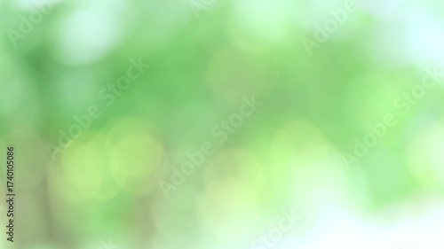 soft green natural bokeh background, blur nature, green bokeh light for background, ideal for summer background, and creative projects needing bright, fresh, and organic backdrops