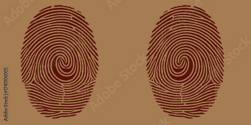 Digital biometric fingerprint illustration with unique identity pattern as a security icon on white