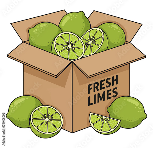 Fresh Green Limes in Cardboard Box - Citrus Fruit Harvest