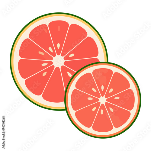 Juicy Fresh Pink Grapefruit Slices Vector Illustration