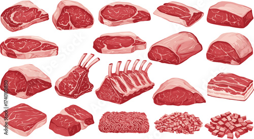 Collection of raw meat cuts vector illustration including steak, ribs, ground beef, lamb chops, pork belly, butcher shop food design
