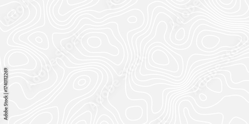 A clean, monochrome abstract background featuring a seamless topographic map pattern with subtle, flowing white contour lines on a light gray surface, conveying minimalist elegance.