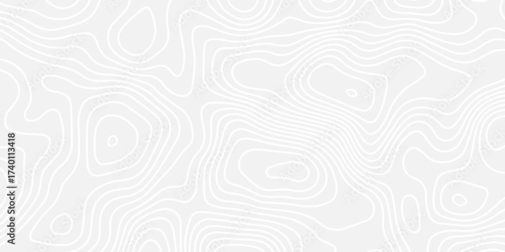 Fototapeta premium A clean, monochrome abstract background featuring a seamless topographic map pattern with subtle, flowing white contour lines on a light gray surface, conveying minimalist elegance.