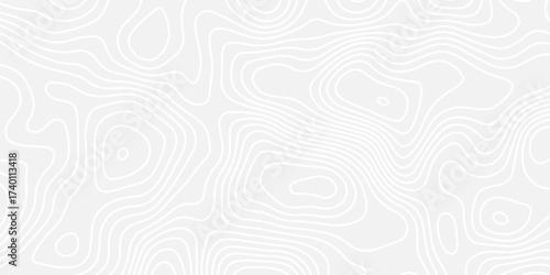 A clean, monochrome abstract background featuring a seamless topographic map pattern with subtle, flowing white contour lines on a light gray surface, conveying minimalist elegance.