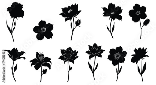 A collection of silhouetted floral designs showing various flower shapes