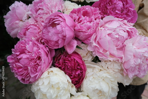 bouquet of pink peonies
