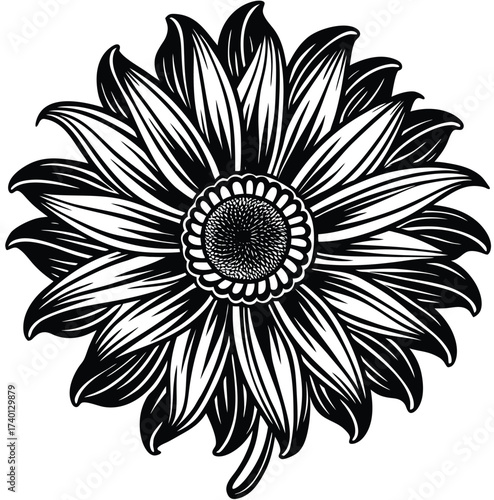 A stunning black and white floral mandala pattern illustration with vintage nature decoration and spring plant elements