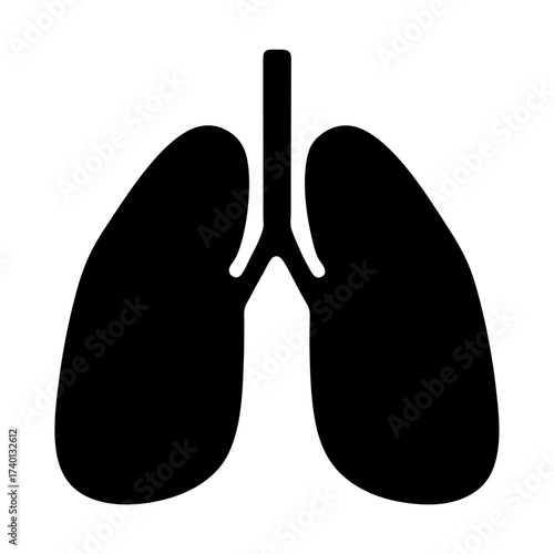 Illustration of human lungs for medical use and health awareness anatomical respiratory system