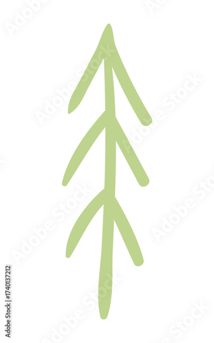 Fir, pine, spruce, conifer tree simple doodle isolated on transparent. Hand drawn flat vector illustration. Traditional holiday, Xmas, New Year, seasonal design element, clip art