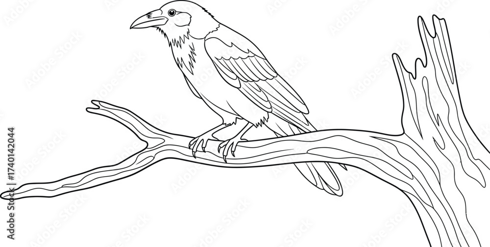 Obraz premium Raven perched on a branch in a black and white illustration