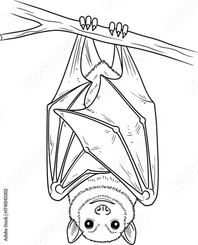 Line drawing of a bat hanging upside down from a branch