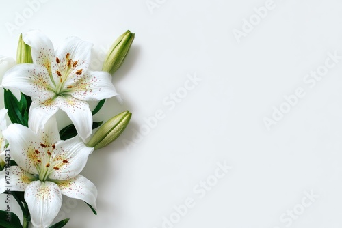 Fresh white lilies with vibrant yellow and orange spots displayed on a clean white surface