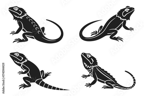 Minimalist bearded dragon lizard icon set