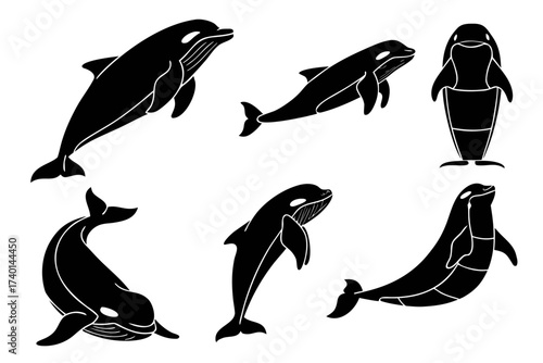 Minimalist beluga whale icon set with abstract elements