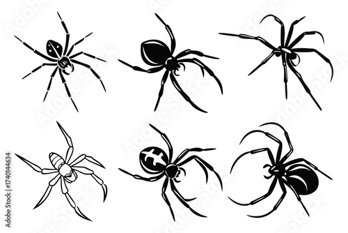 Minimalist black widow spider icon set