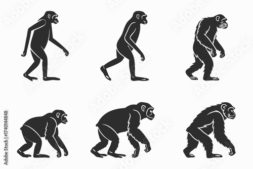 Minimalist bonobo icon set in black and primary colors