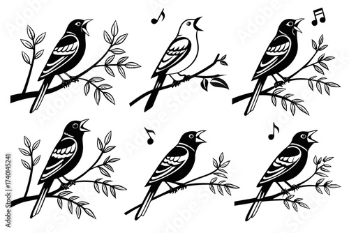 Minimalist canary singing icon set