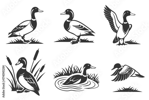 Minimalist canvasback duck icon set in black and yellow