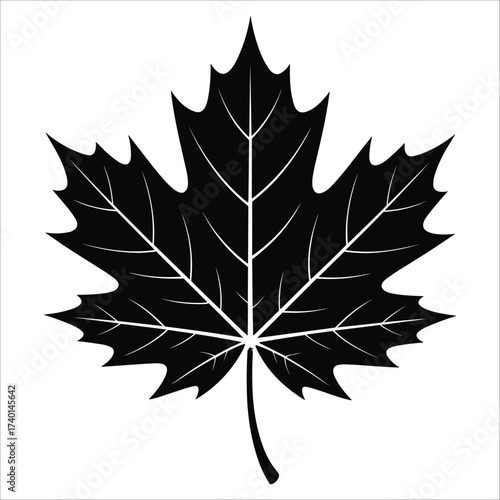 Bold black maple leaf silhouette with detailed veins autumn symbol design