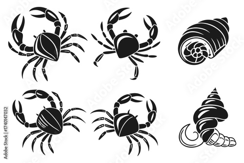 Minimalist crab holding seashell icon set