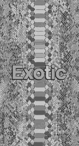 A grayscale snakeskin pattern with a central stripe of larger scales and the word 'Exotic' in the middle.