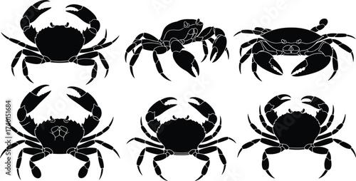 Crab silhouettes collection, sea animal vector, marine wildlife illustration, seafood design element, ocean creature icon, crustacean graphic art, fishing decoration, nature symbol