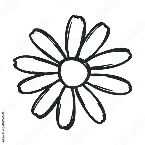 Simple black and white daisy outline illustration