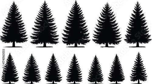 Pine tree silhouettes, evergreen conifer forest shapes, fir spruce illustration, natural woodland vector design, black landscape elements, Christmas tree collection set