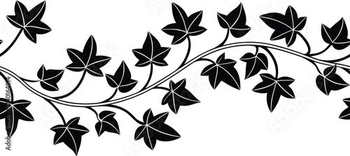 Black ivy vine with star-shaped leaves on white background