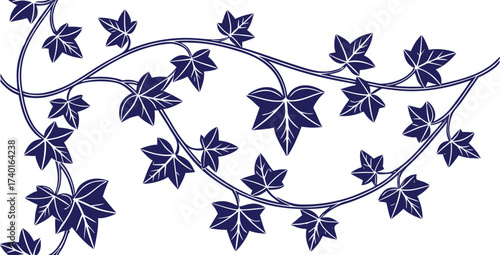 Blue ivy vine with star-shaped leaves on white background