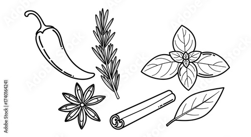 Aromatic cooking spices and fresh herbs line art vector illustration SVG, isolated on transparent background.