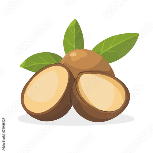 A Minimalistic 2D flat icon featuring a whole sapodilla, clean vector design, simple illustration style, isolated on a white background, modern element in vector and EPS format. simple design