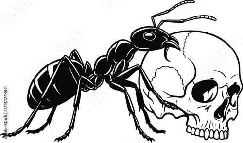 Ant carrying a skull illustration in black and white art