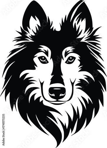 Belgian Tervuren head silhouette with pointed ears, thick mane, and alert gaze in black vector