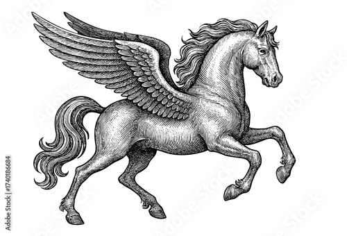 Detailed vintage engraving of Pegasus, the mythological winged horse, symbolizing freedom, fantasy, and strength. Perfect for mythology art, tattoo design, or fantasy illustration projects.
