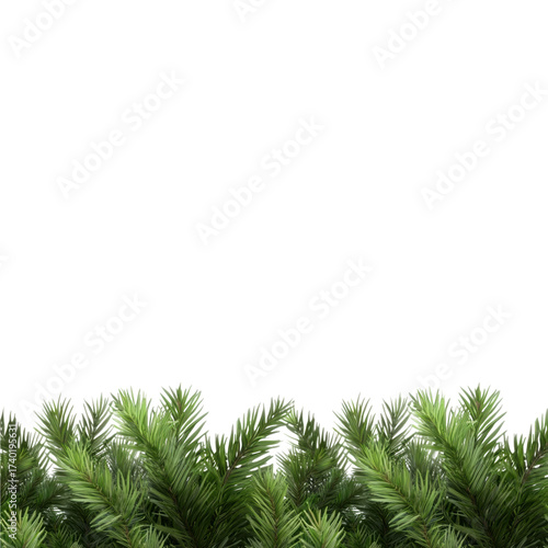 Green pine needle border abstract natural foliage geometric pattern high fidelity vibrant fresh decorative isolated on transparency background evokes calm and tranquility