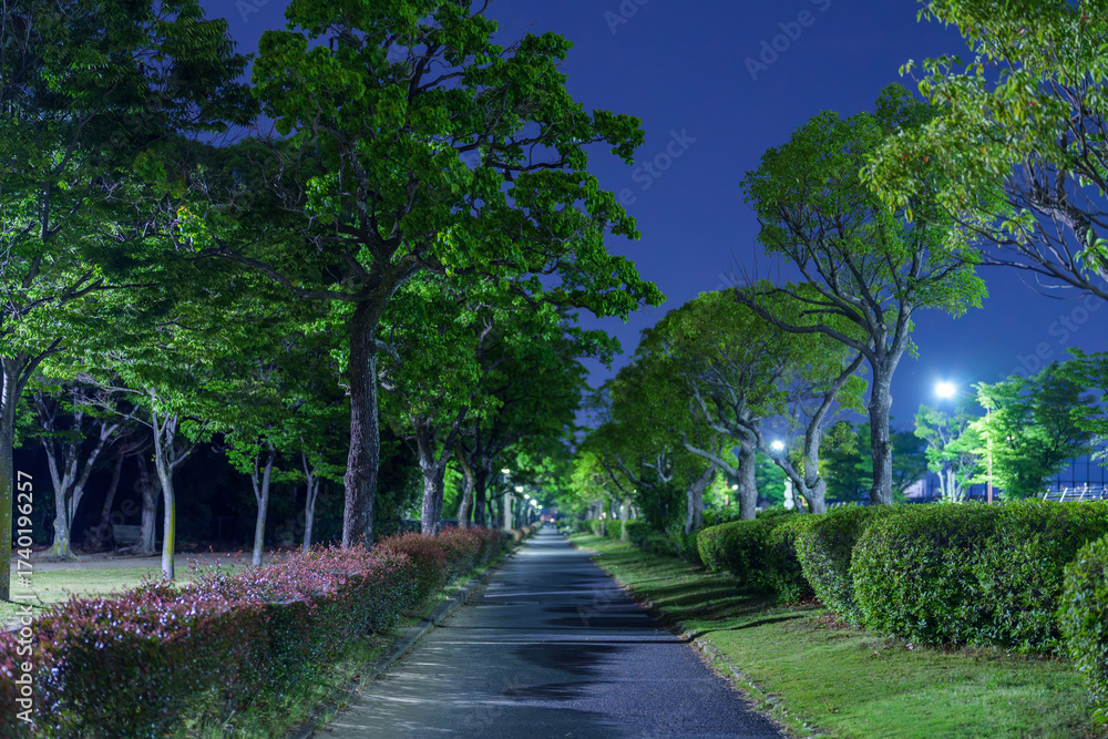 Fototapeta premium 電柱と電線が描く夜空 — 郊外の散歩ルート