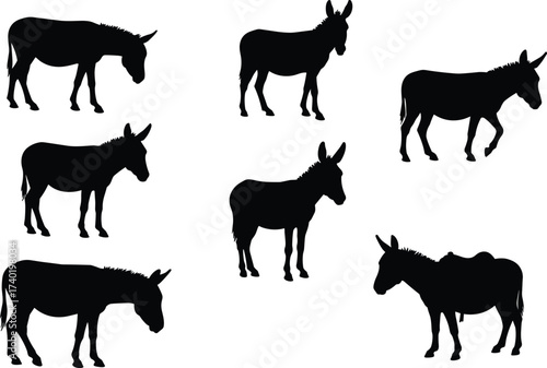Donkey silhouettes, farm animal vector, standing donkey, walking donkey, loaded donkey, livestock outline, rural transport, working mule, agriculture art, wildlife illustration