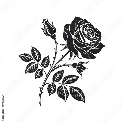 Black and white silhouette of a blooming rose with buds and leaves