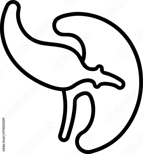 Simplified Pancreas and Stomach Anatomy Illustration for Medical and Educational Use