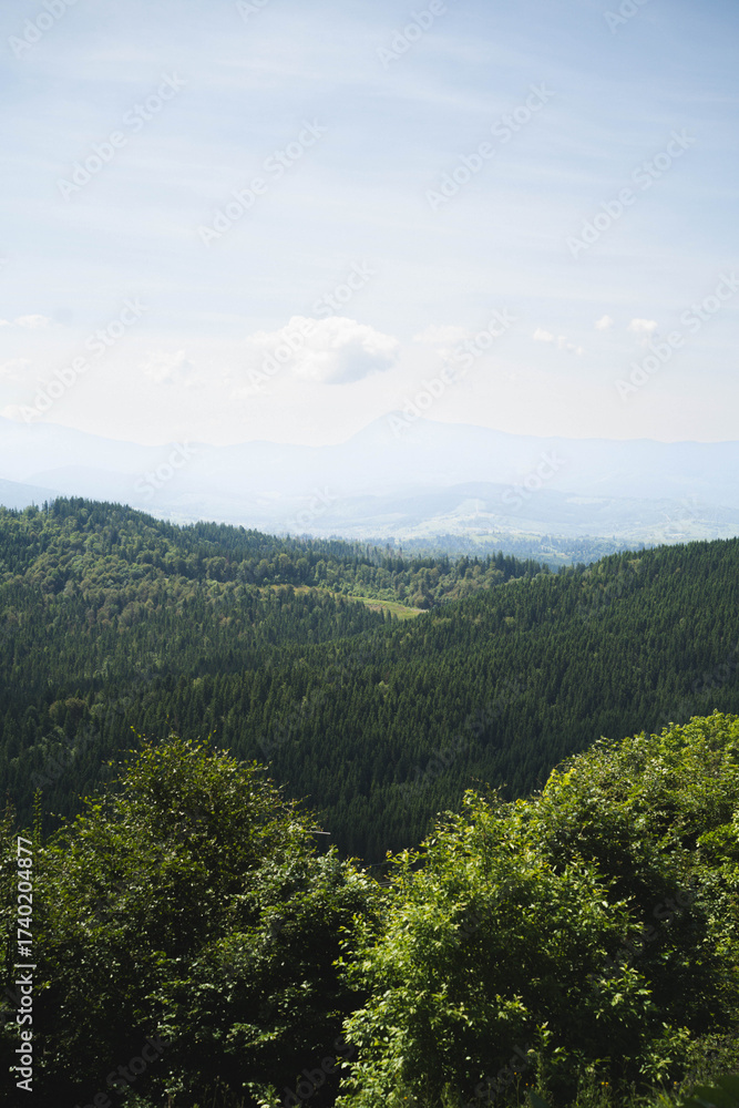 Fototapeta premium view of the mountains