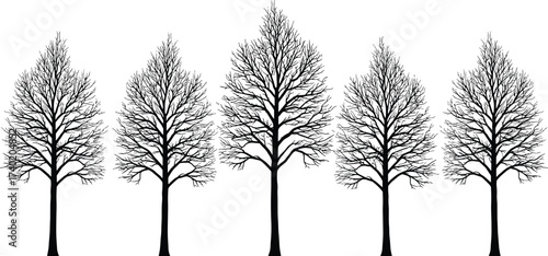 winter trees without leaves, natural forest elements, bare seasonal illustrations, leafless branches, vector nature design set for landscape artwork