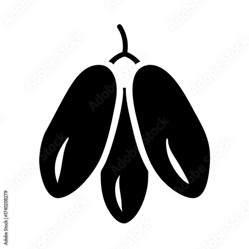 Vector graphic of fresh dates fruit illustration healthy food snack ramadan kareem sweet dried organic