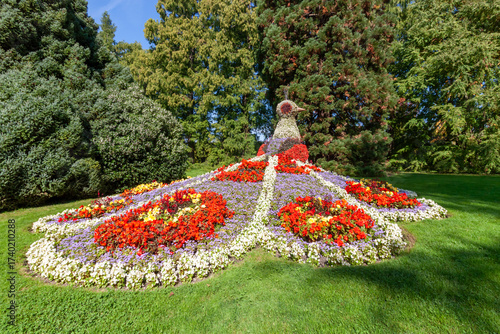 The magnificent peacock made of flowers at the famous Mainau Island garden on Lake Constance, showcasing vibrant colors and stunning horticultural art