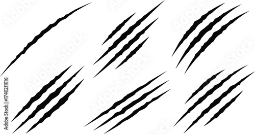 Black claw marks on a white background vector illustration