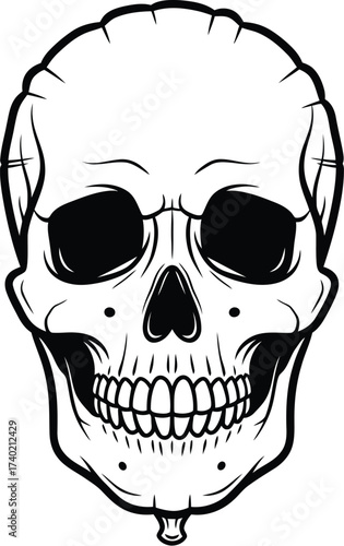 Black and white skull illustration with detailed features