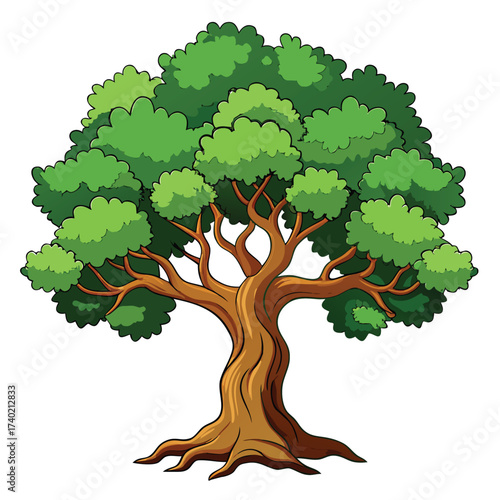 Cork oak tree with distinctive, extremely thick, deeply furrowed corky bark and small, semi-evergreen leaves, native to the Mediterranean.